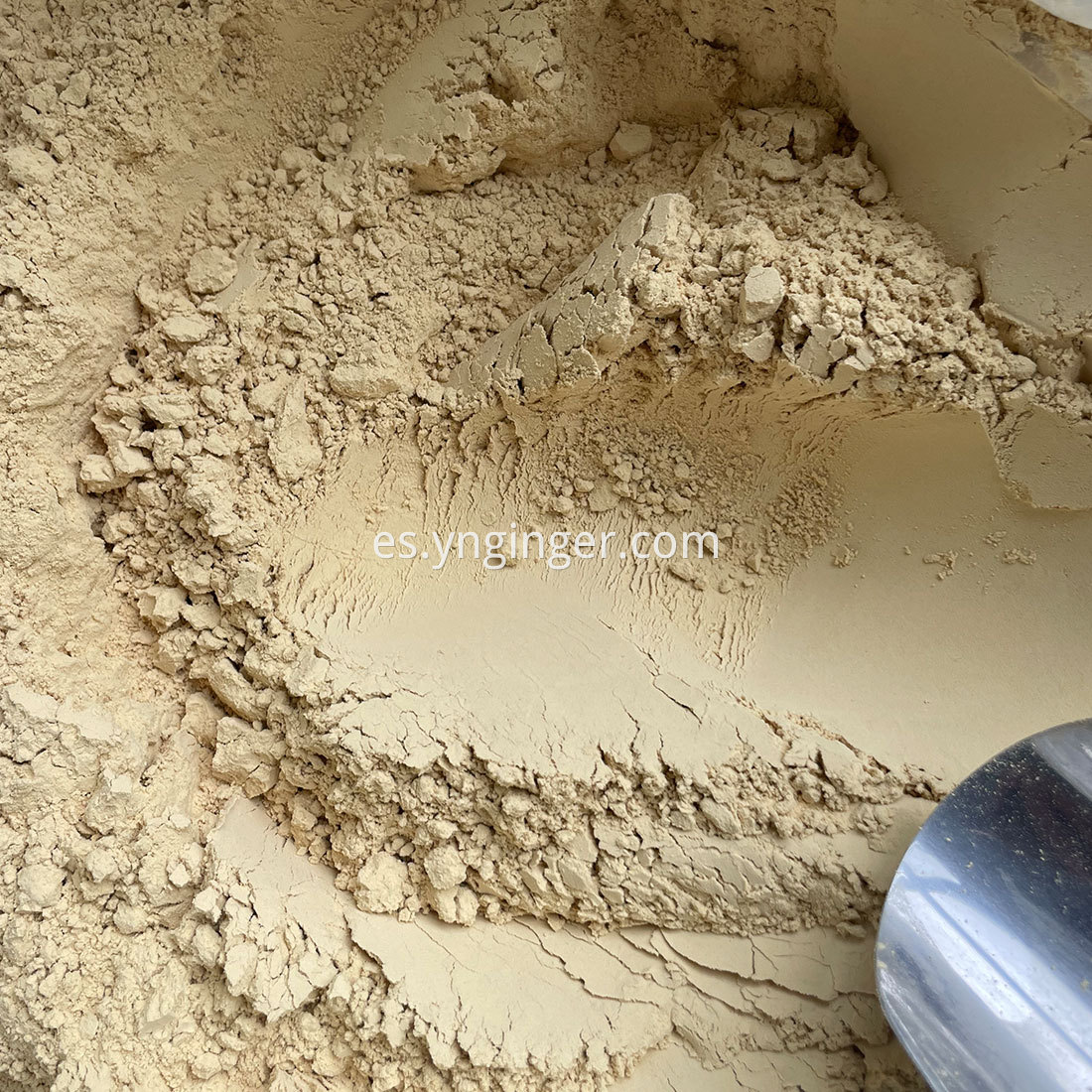 Jengibre en polvo Ginger Powder